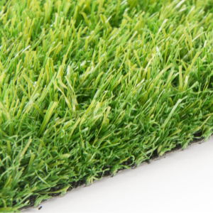 Artificial Grass